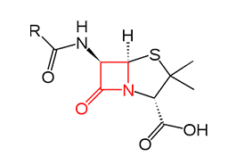 Cephalosporins