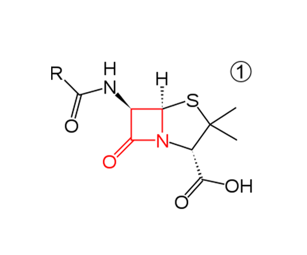 BetaLactam